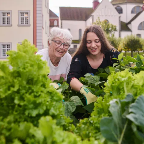 Gartenarbeit Pflegeheim