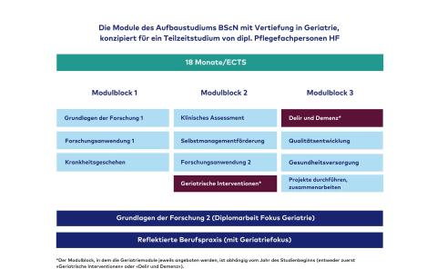 Grafik Bachelor Geriatrie