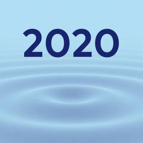 Jahresbericht 2020