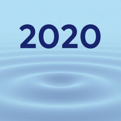 Jahresbericht 2020