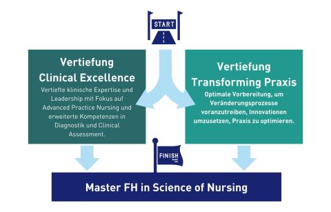 MScN: Zwei Vertiefungsrichtungen Grafik