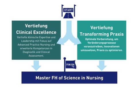 Master of Science in Nursing Grafik