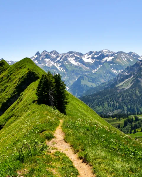 Symbolbild Careum Fürhrungstagung