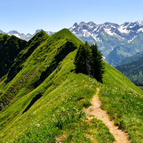 Symbolbild Careum Führungstagung