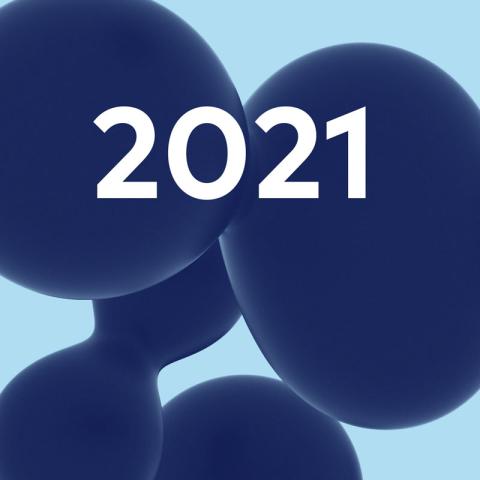 Careum Jahresbericht 2021
