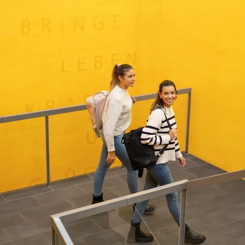 mega-teaser-careum-bildungszentrum-alltag-studierende-mobile.jpg