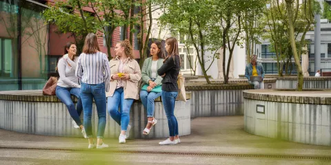 Lehrstellen im Careum Bildungszentrum, Übersicht