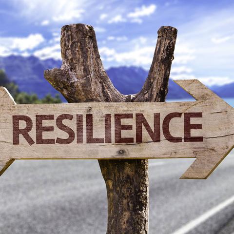 Schlüssel zur Resilienz