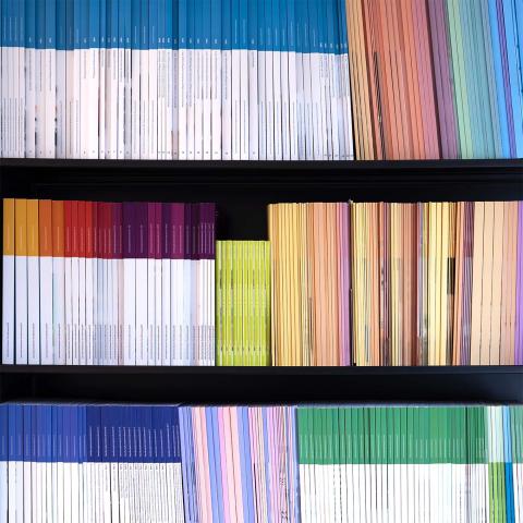 Bücherregal mit verschiedenen farbigen Büchern des Careum Verlags