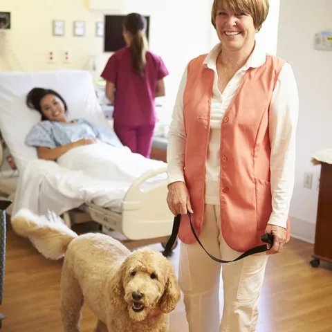 Hund als Begleiter im Spital