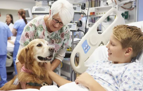Hund am Bett eines Patienten im Spital