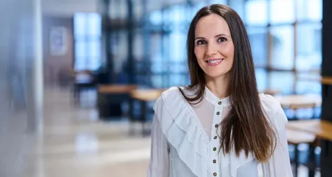 Titelbild des Weiterbildungsprogramms 2026